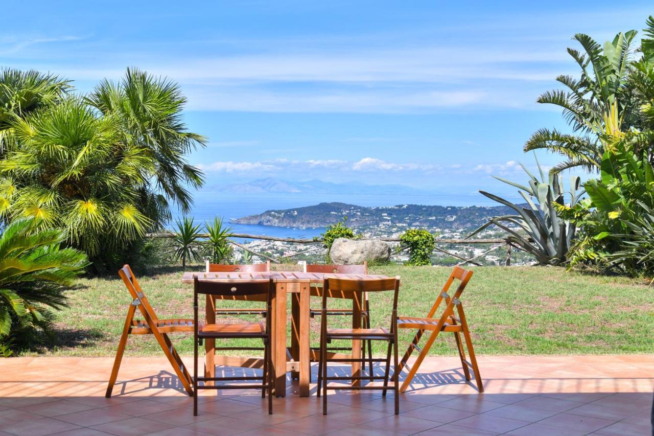 Charming Panoramic Paradise View 别墅 Forio di Ischia